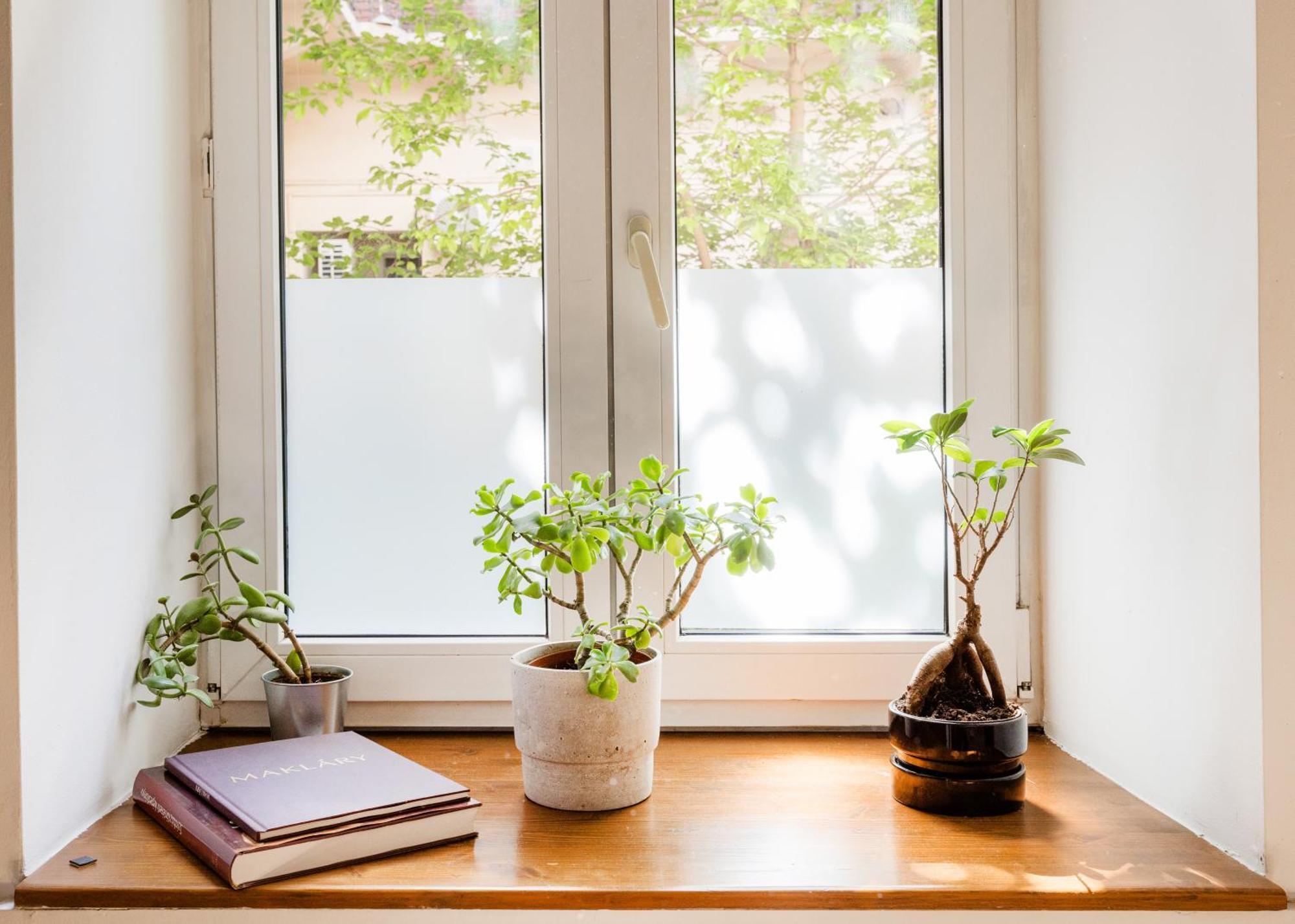 Apartment Stylish Natural With Sauna - Heroes Square