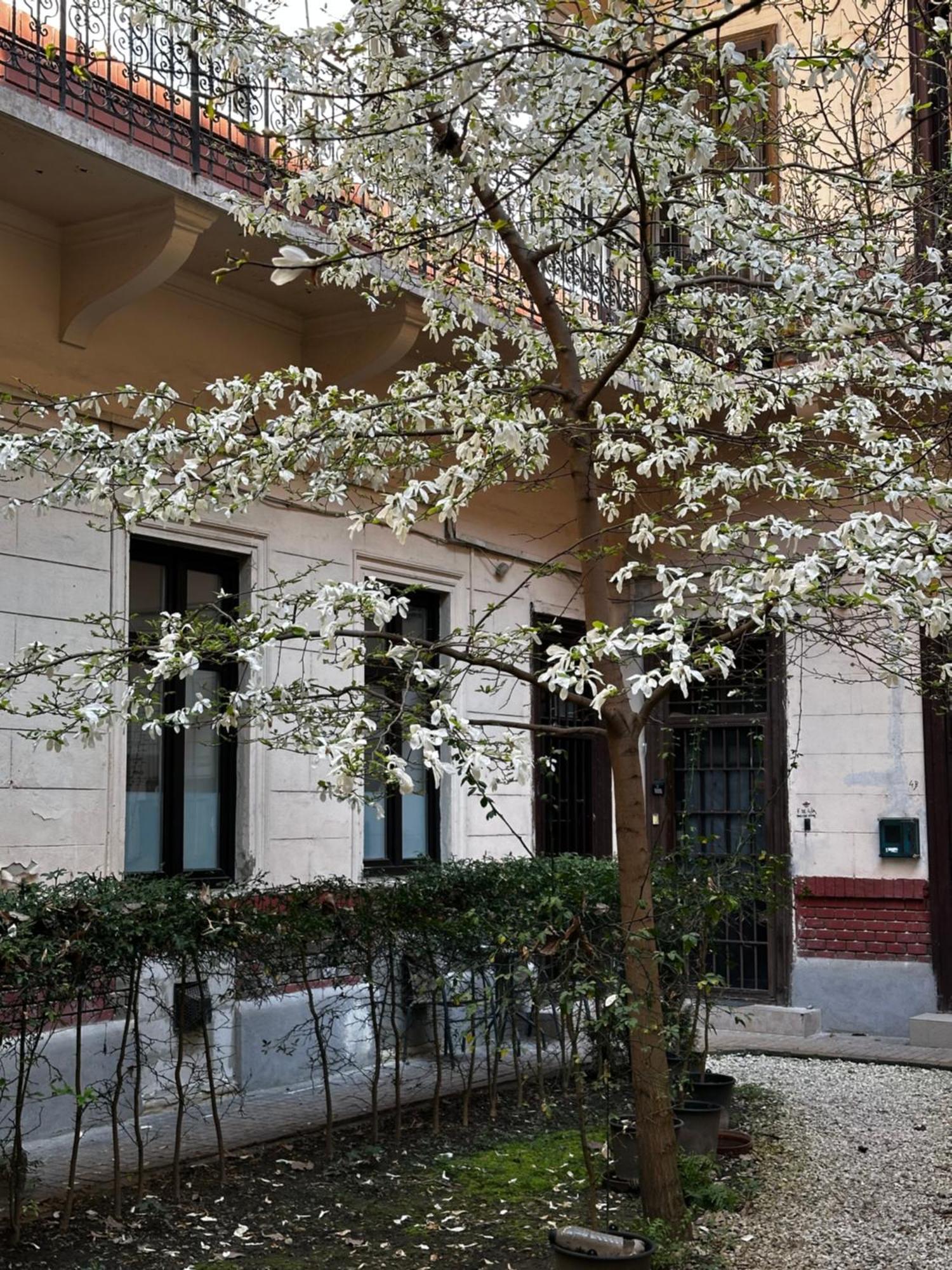 Apartament Stylish Natural With Sauna - Heroes Square *